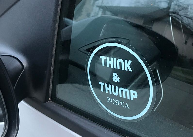 https://www.northshoredailypost.com/wp-content/uploads/2020/01/Think-and-Thump.jpg