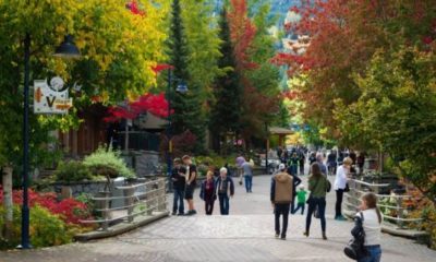 https://www.northshoredailypost.com/wp-content/uploads/2020/02/Whistler-village-stroll.jpg