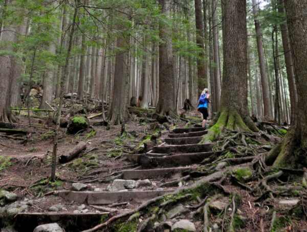 https://www.northshoredailypost.com/wp-content/uploads/2023/08/grouse-grind-trail-R-600x453.jpg