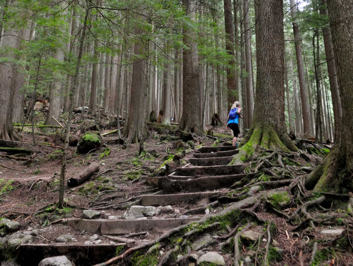 North Short News Grouse Grind Trail to Close Next Month