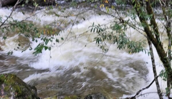 https://www.northshoredailypost.com/wp-content/uploads/2023/10/Stawamus-River-in-Squamish-600x348.jpg