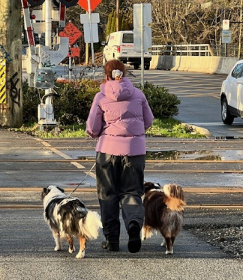 https://www.northshoredailypost.com/wp-content/uploads/2024/04/dog-owner-1.png